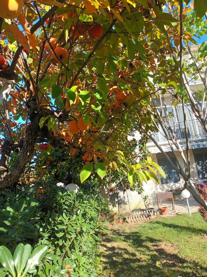 דירות קולונלה La Casa Degli Ippocastani מראה חיצוני תמונה